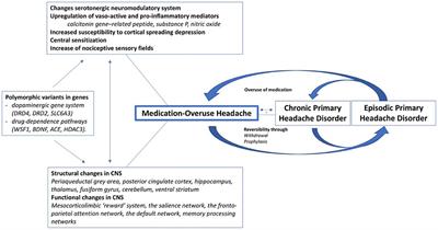 Using a Chatbot to Study Medication Overuse Among Patients Suffering From Headaches